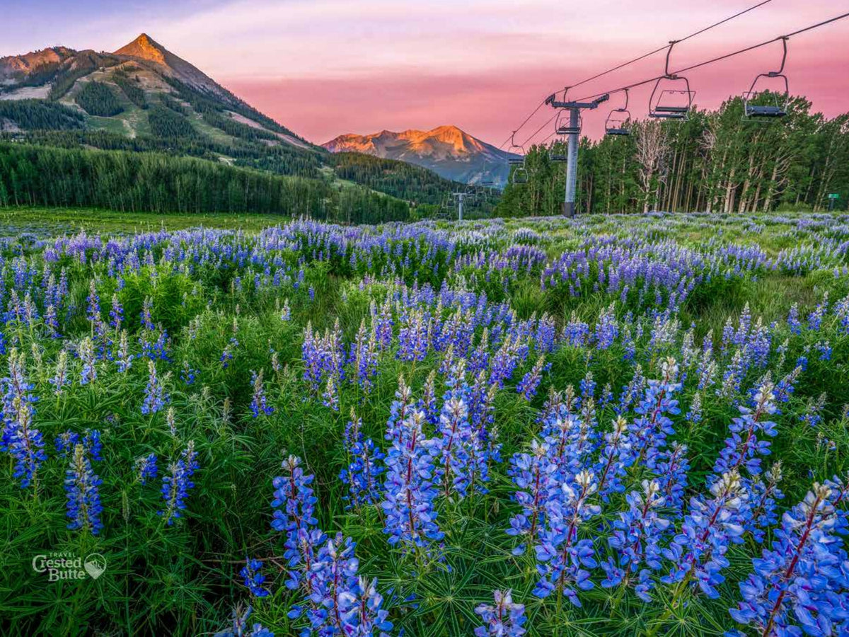 2027 Travel Crested Butte Calendar