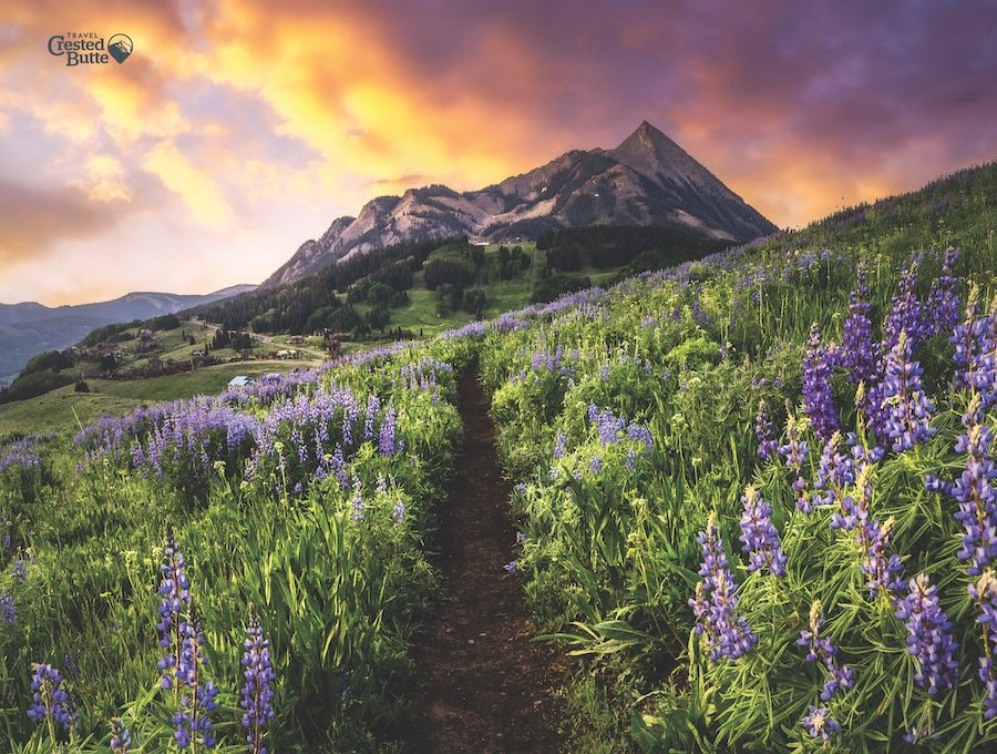 2025 Travel Crested Butte Calendar