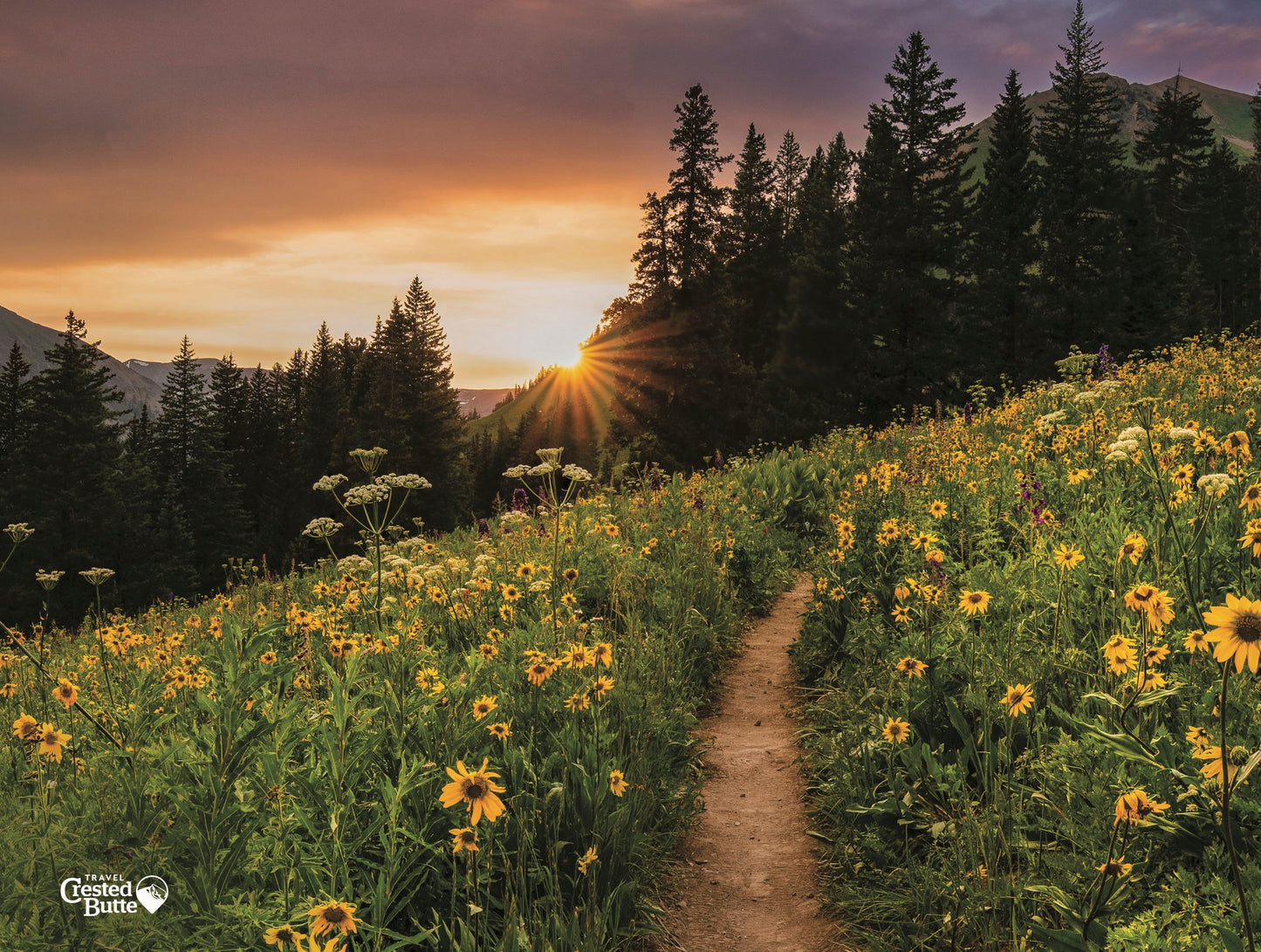 2026 Travel Crested Butte Calendar